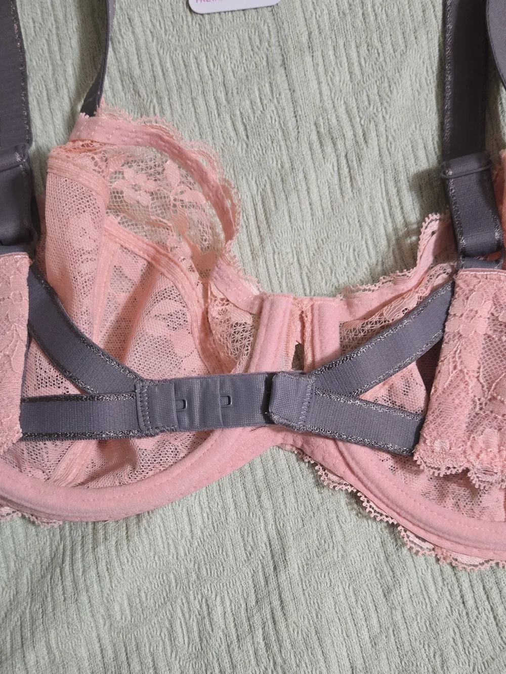 Freya Offbeat Rosehip Lace Plunge Bra with Contrast Straps Size 36D NWT